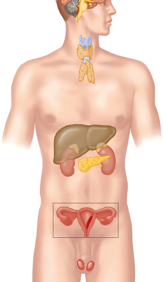 Endocrine OSCEs